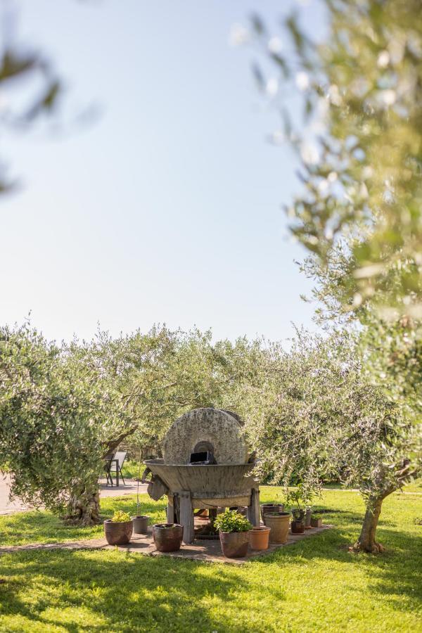 Hotel Maslina Seget (Umag) Exterior foto